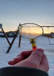 20230117_113153 (Large).jpg (225616 bytes)